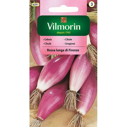 1 szt, Cebula czerwona Rosa Lunga di Firenze Vilmorin - Nasiona: Ilość w opakowaniu: 2 g