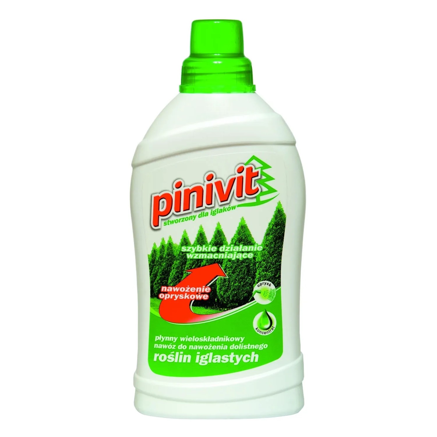 Pinvit Nawóz do iglaków 1 kg.