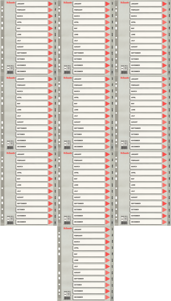 10x Przekładki do segregatora Esselte, plastikowe, indeksy miesięczne, A4, 12 kart, szary