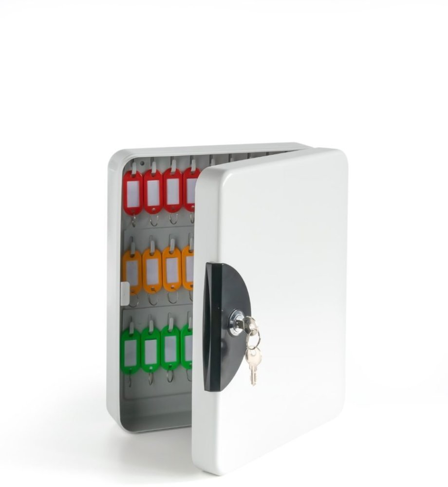 Szafka na klucze Argo TS-54L, na 54 klucze, z zawieszkami, szary