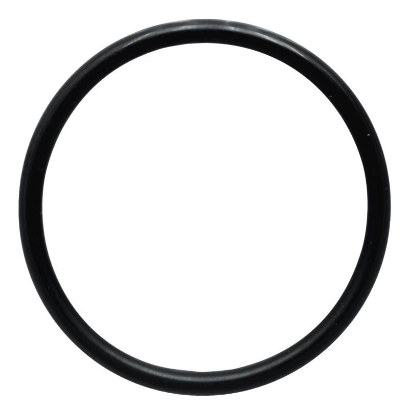 Oring CASE 3055389R2