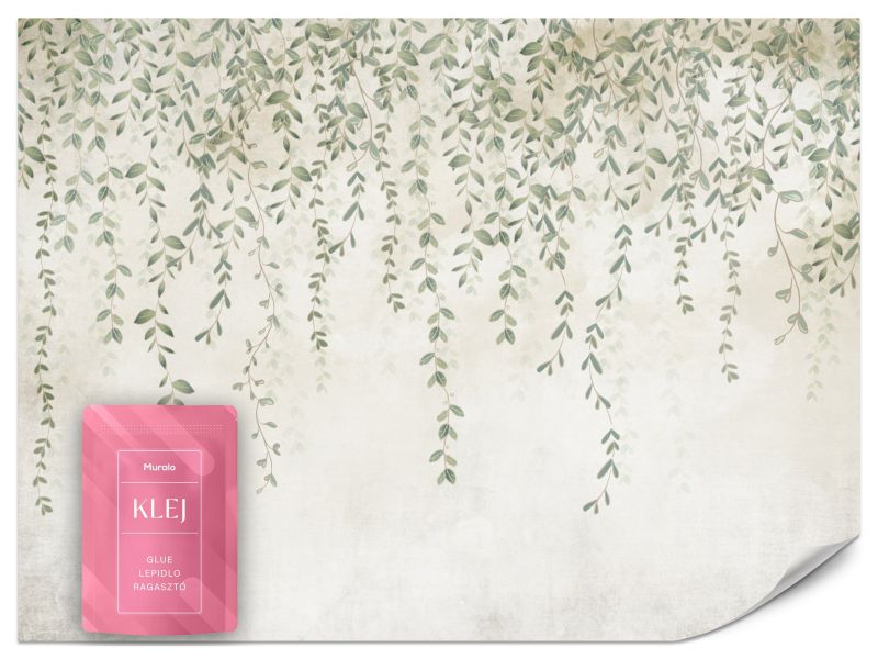 Fototapeta Delikatne Liście na Murze 100x70 cm 1szt.