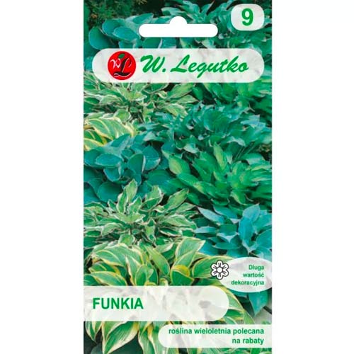 1 szt, Funkia (Hosta), mix - Nasiona: Ilość w opakowaniu: 0.1 g