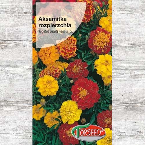 1 szt, Aksamitka rozpierzchła (niska) Bolero - Nasiona: Ilość w opakowaniu: 1 g