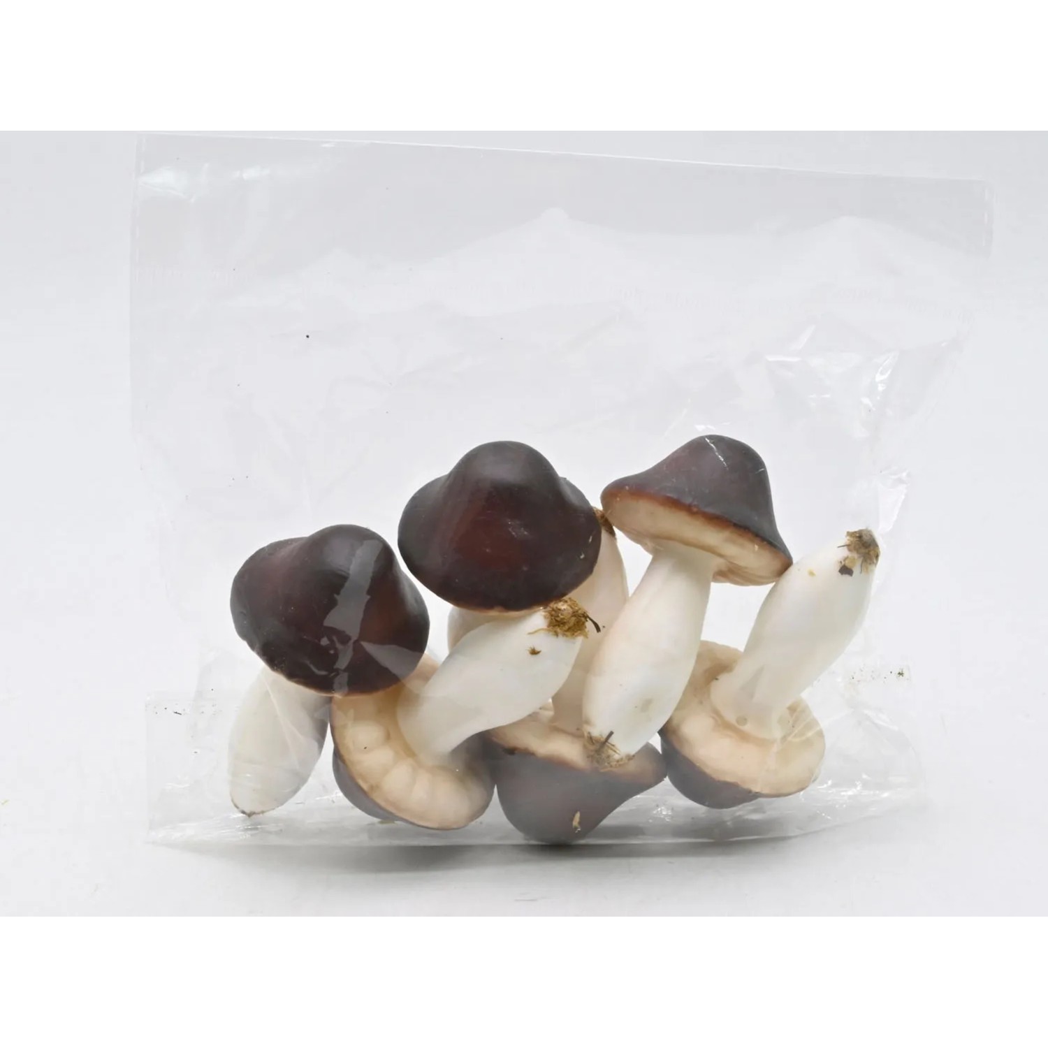 Grzybki dekoracyjne - 6 szt.