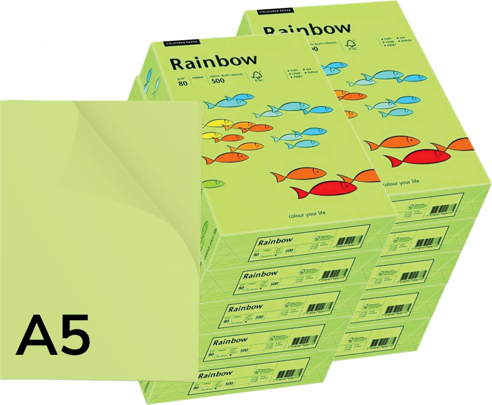 10x Papier kolorowy Rainbow, A5, 80g/m2, 500 arkuszy, jasny zielony (R74)