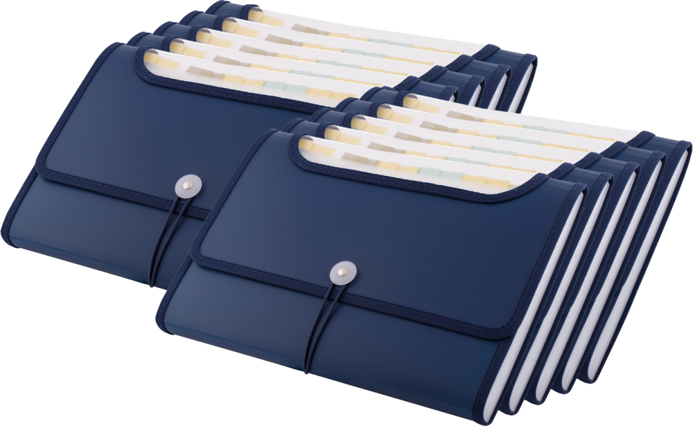 10x Teczka z przegródkami D.Rect 5590, A4, 12 przegródek, granatowy