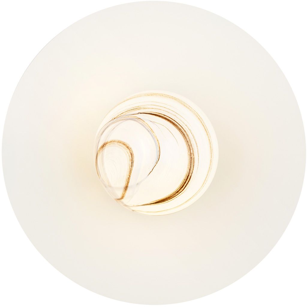 Argon Piava kinkiet 1x7W kremowy/złoty 8445