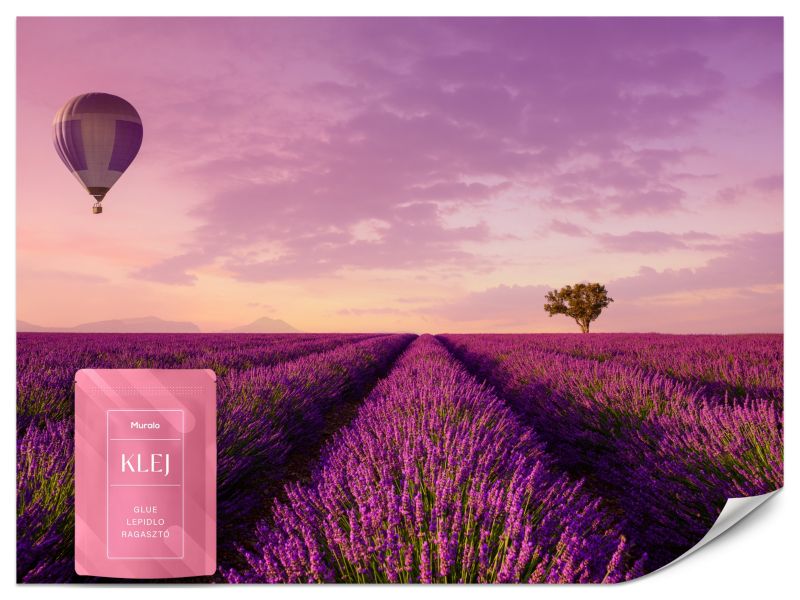 Fototapeta Muralo Pole Lawendy 350x256 cm 1szt.
