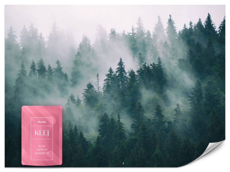 Fototapeta Muralo Las Mgła Przyroda 500x350 cm 1szt.