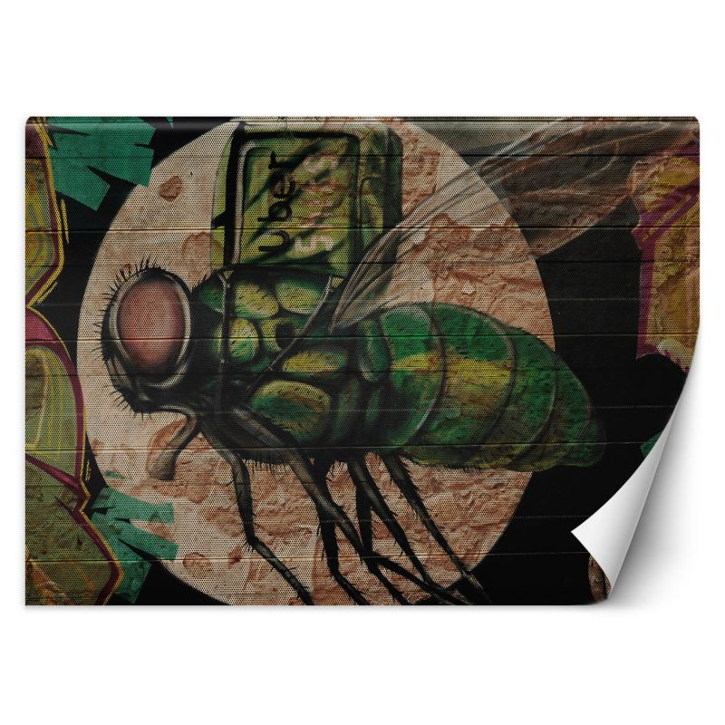 Fototapeta Feeby Zielona mucha i księżyc graffiti na ścianie 350x245 1 szt