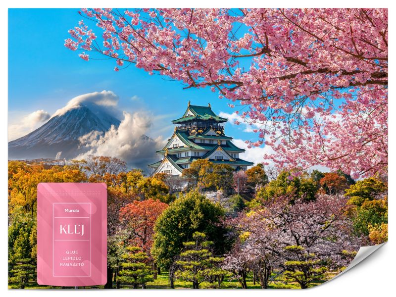 Fototapeta Muralo Japoński Zamek Osaka Kwitnąca Wiśnia 300x210 cm 1szt.