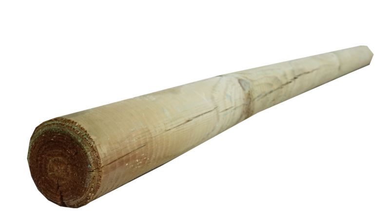 Palisada faza/faza Roma 10x240 cm 1szt.