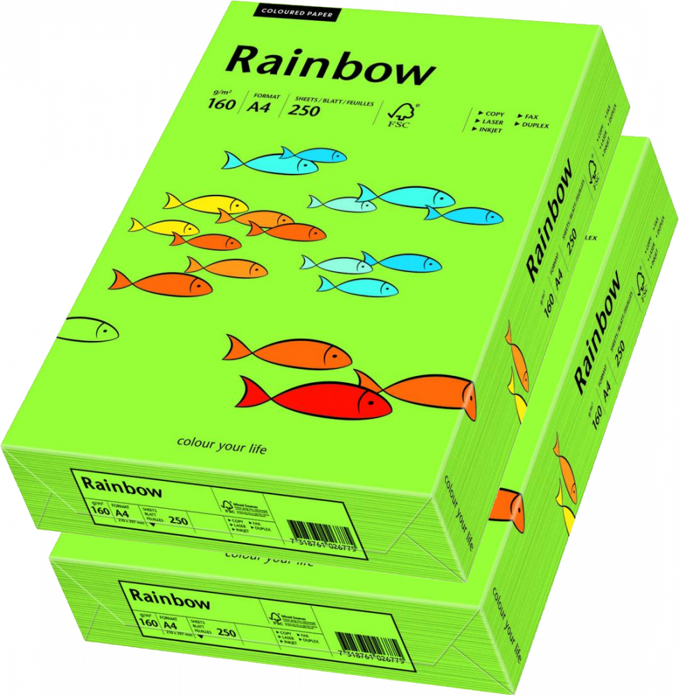 2x Papier ksero ekologiczny Rainbow, A4, 160g/m2, 250 arkuszy, zielony (R76)