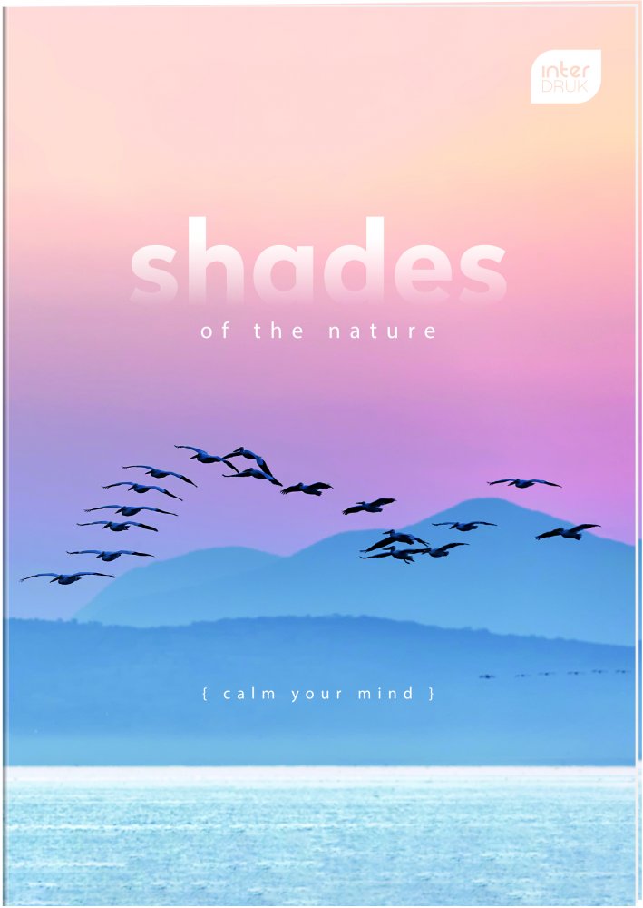 Brulion w kratkę Interdruk, A4, twarda oprawa, 160 kartek, mix wzorów