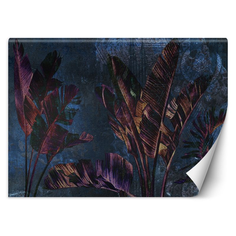Fototapeta Feeby Liście Bananowiec Fiolet Niebieski 300x210 1 szt