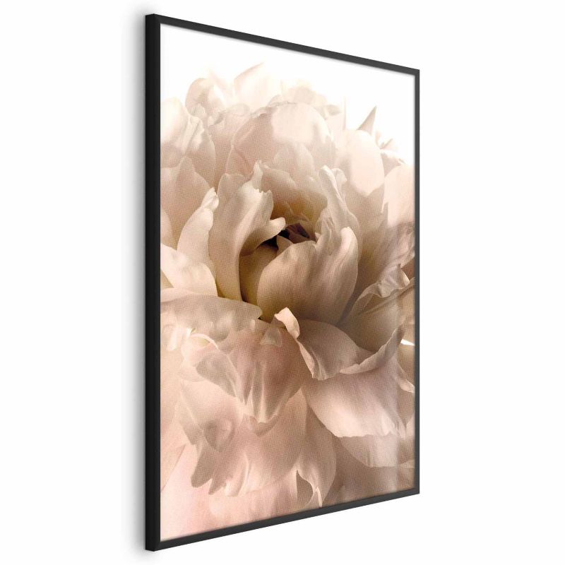 Plakat Artgeist Miękkie płatki 40x60 cm z ramą czarną 1 szt