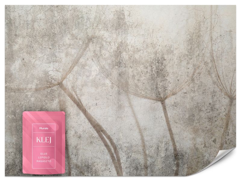 Fototapeta Muralo Nasiona Dmuchawca na Betonie 350x256 cm 1szt.