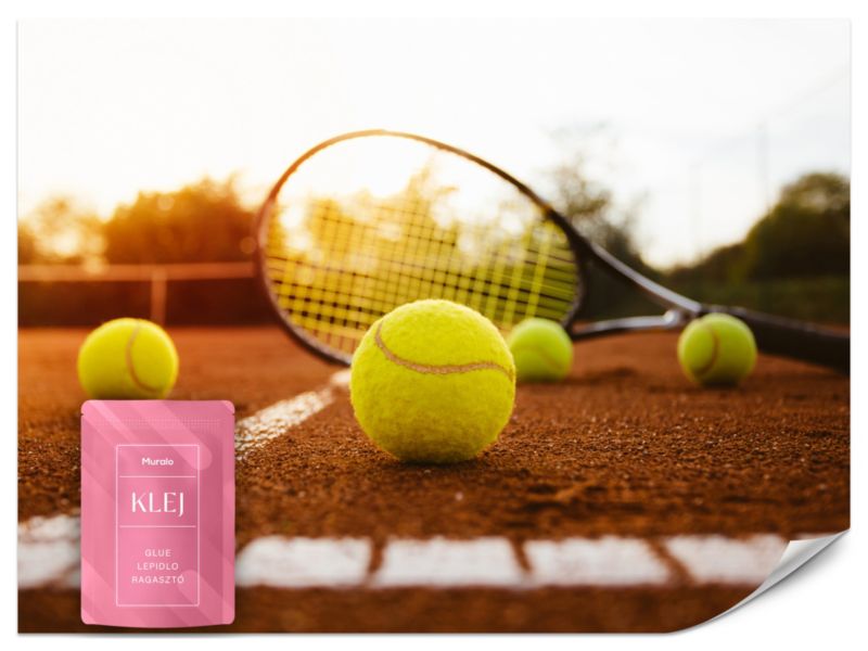 Fototapeta Muralo Rakieta Tenisowa na Boisku 100x70 cm 1szt.