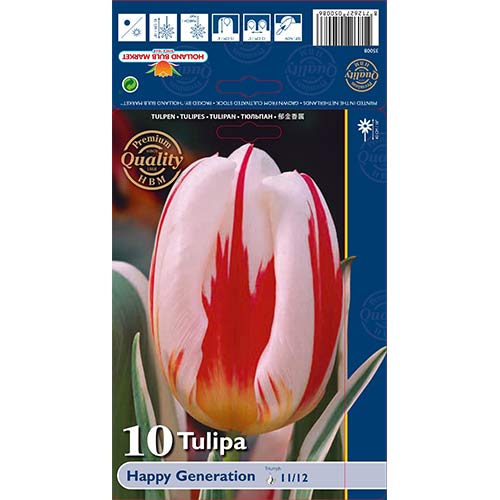Tulipan Triumph Happy Generation - Cebule: Ilość w opakowaniu: 10 szt. - GradinaMax