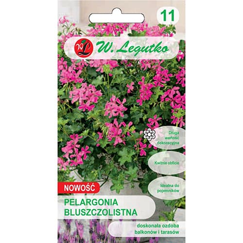 1 szt, Pelargonia bluszczolistna Fuchsia F1 - Nasiona: Ilość w opakowaniu: 5 szt