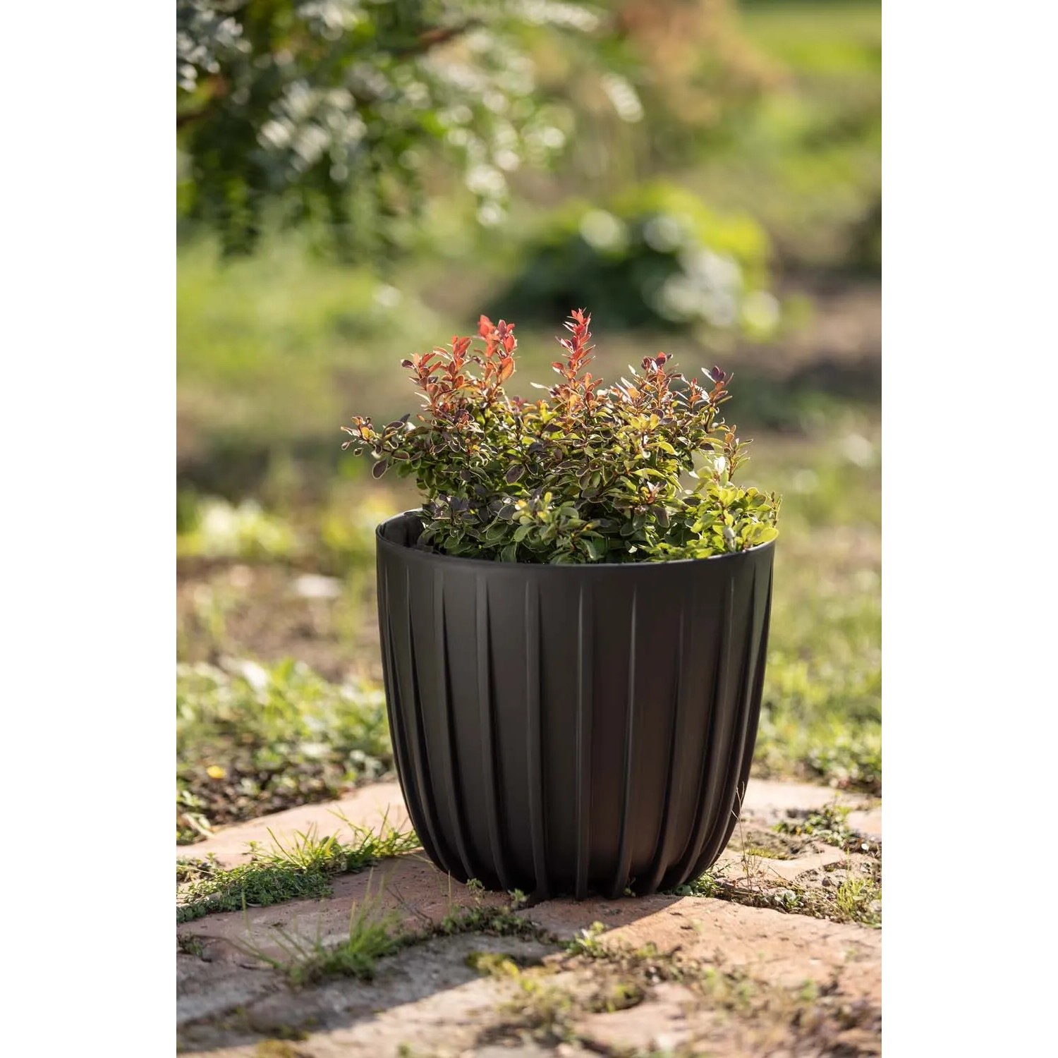 Osłonka Mira recycled antracyt niska - 24 cm