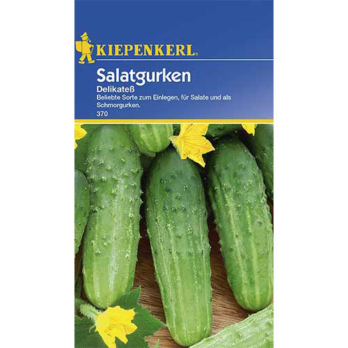 1 pac, Castraveți Delikatess Kiepenkerl - Semințe: Mod de ambalare: 1 pac