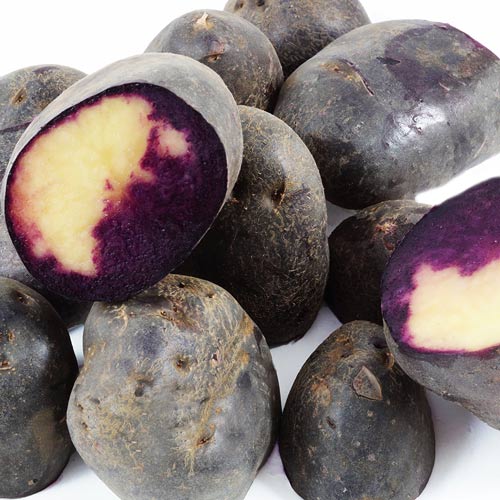 1 kg, Cartofi de sămânță Double Fun - Tuberculi: Mod de ambalare: 1 kg