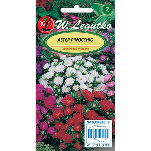 1 szt, Őszirózsa kerti Pinocchio, színkeverék - Magok: Mod de ambalare: 0.3 g