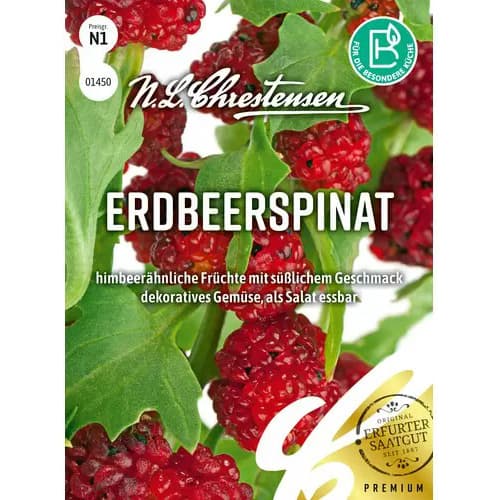 1 szt, Erdbeerspinat Chrestensen - Samen: Ilość w opakowaniu: 1 Stück