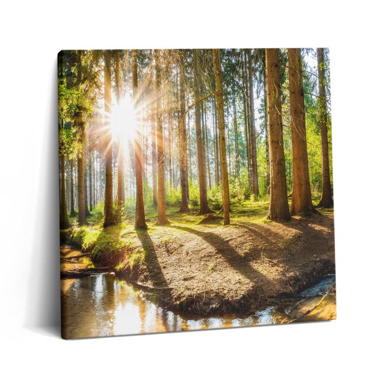 Obraz na płótnie Wallfluent 60x60 cm Słońce za drzewami w lesie 1 szt.