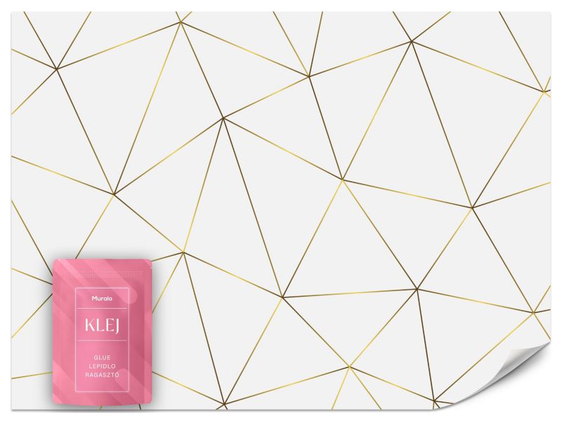 Fototapeta Muralo Abstrakcja Geometryczna Glamour 450x315 cm 1szt.