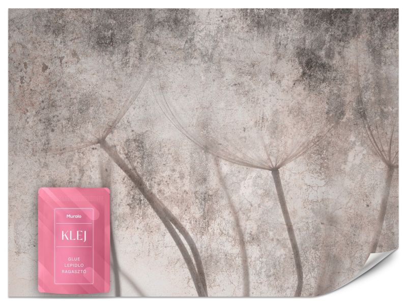 Fototapeta Muralo Nasiona Dmuchawca Retro 450x315 cm 1szt.