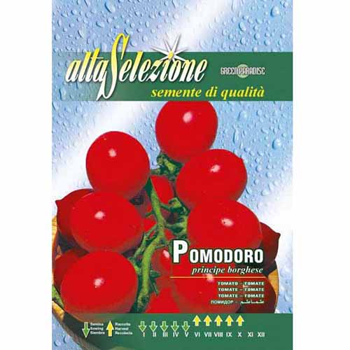1 szt, Pomidor cherry Principe Borghese Morami - Nasiona: Ilość w opakowaniu: 1 g