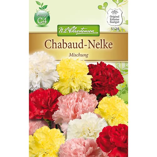 1 szt, Szegfű, színkeverék - Magok: Mod de ambalare: 1 db