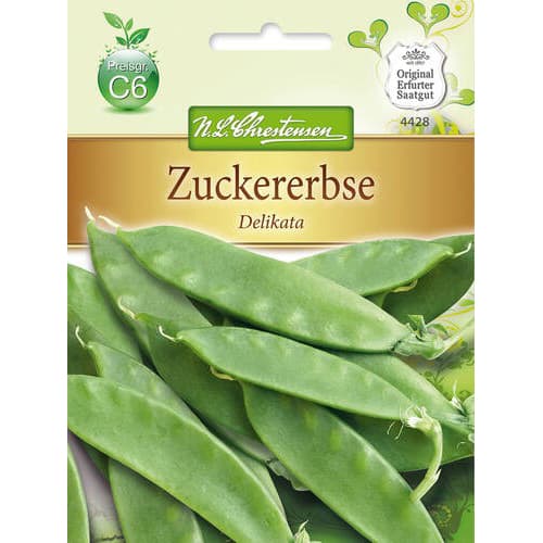 1 szt, Zuckererbse Delikata - Samen: Ilość w opakowaniu: 1 Stück