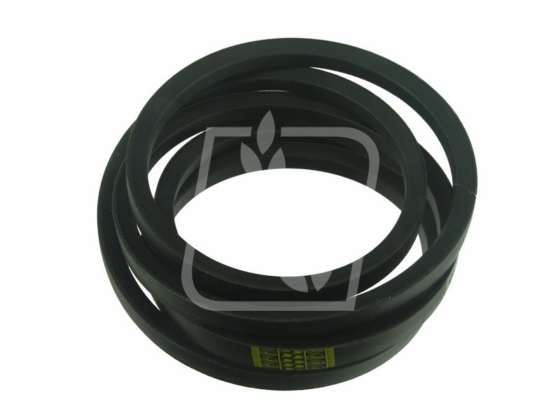 Pas 784796M1 22 x 3632