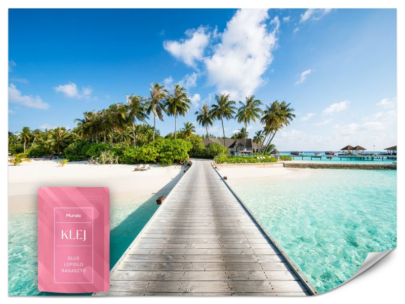 Fototapeta Muralo Pomost na Tropikalnej Wyspie 250x175 cm 1szt.