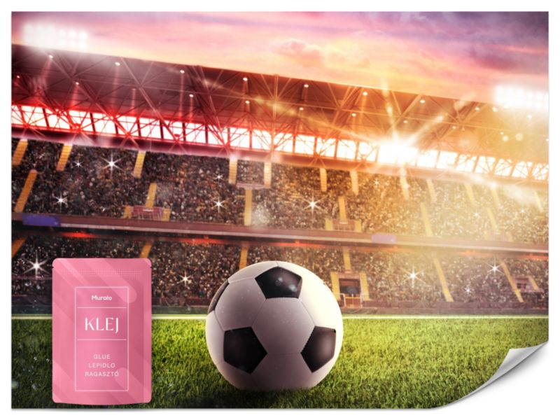 Fototapeta Muralo Piłka Nożna na Stadionie 250x175 cm 1szt.