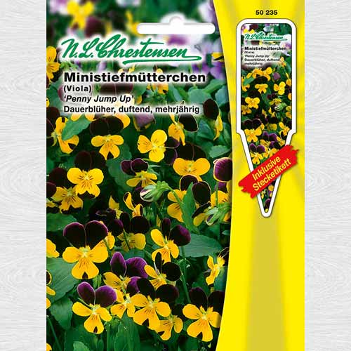 1 pac, Panseluțe cu flori mici Penny Jump Up - Semințe: Mod de ambalare: 1 pac