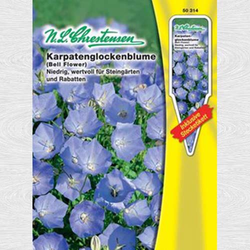 1 pac, Clopoțel carpatin - Semințe: Mod de ambalare: 1 pac