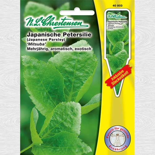 1 pac, Pătrunjel japonez Mitsuba - Semințe: Mod de ambalare: 1 pac