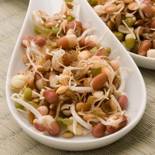 1 pac, Germeni amestec picant - Semințe: Mod de ambalare: 30 g