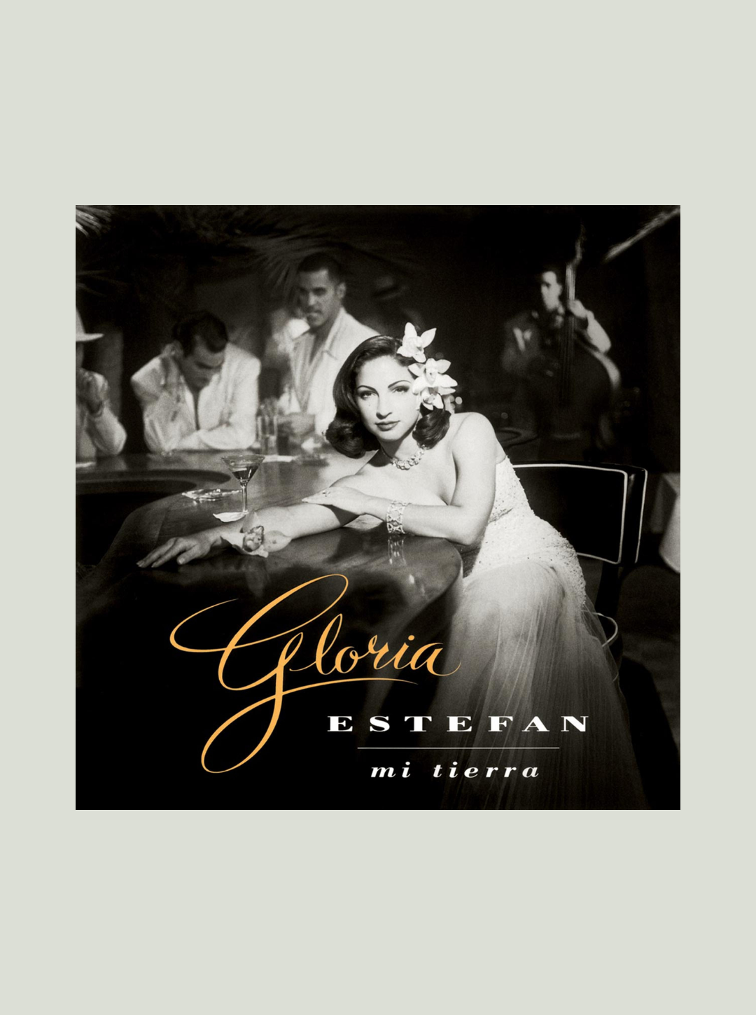 Płyta winylowa Gloria Estefan - Mi Tierra (180g)