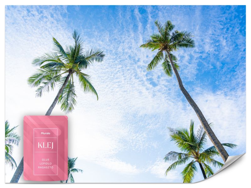 Fototapeta Muralo Widok na Palmy Kokosowe 100x70 cm 1szt.