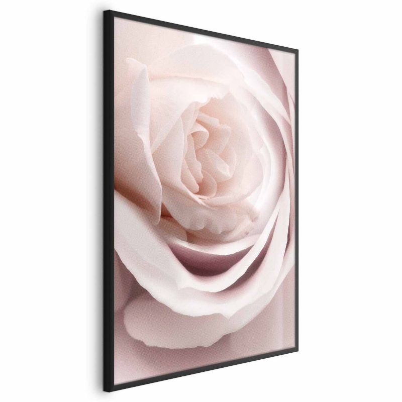 Plakat Artgeist Porcelanowa róża 21x30 cm z ramą czarną 1 szt