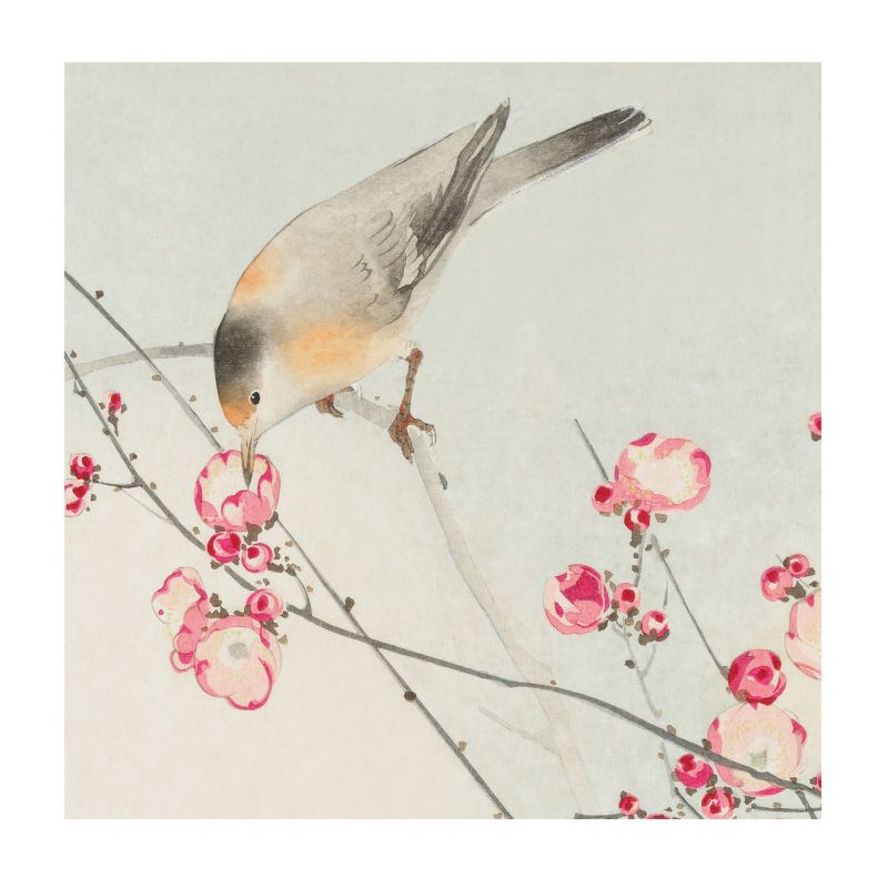 Dekoracyjna Tapeta Do Biura Wallfluent 250x250 cm Kwiatowy ptak Dla Miłośników Historii I Podróży 1 szt.