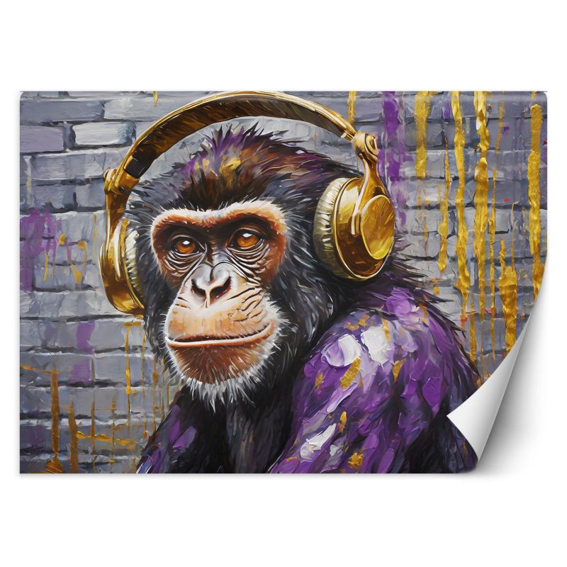 Fototapeta Feeby Małpka w słuchawkach 150x105 1 szt