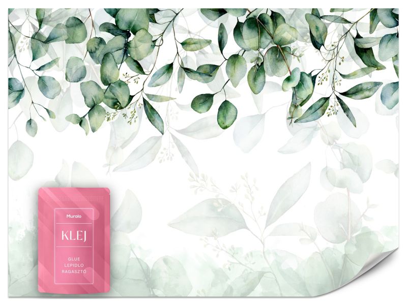 Fototapeta Muralo Liście Eukaliptusa Natura 450x315 cm 1szt.