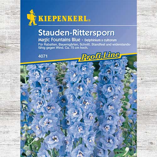 1 szt, Ostróżka ogrodowa Magic Fountains Blue - Nasiona: Ilość w opakowaniu: 1 opak